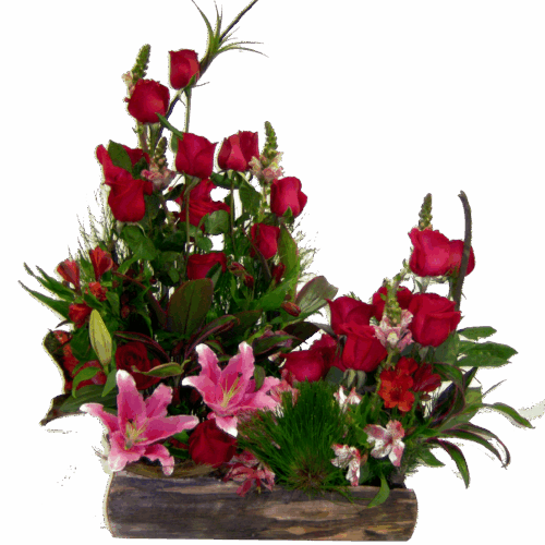 jardinera de rosas-enviar flores venezuela